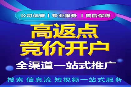 SEM托管公司案例分析：实战技巧全解析